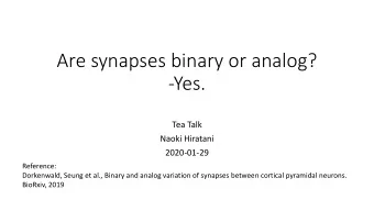 Are synapses binary or analog?  -Yes.  Tea Talk  Naoki Hiratani  2020-01-29  Reference: