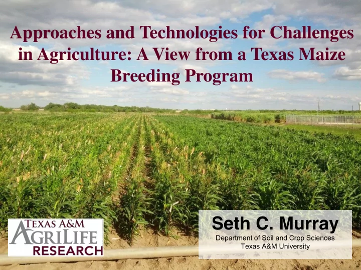 in agriculture a view from a texas maize