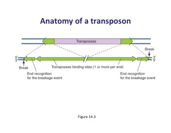 Anatomy  of  a  transposon      Figure  14.3    Examples  of  some