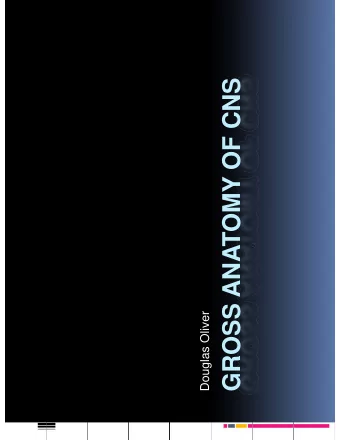 GROSS ANATOMY OF CNS  Douglas Oliver  g  Orientation  Anatomical Planes  Anatomical Planes  The
