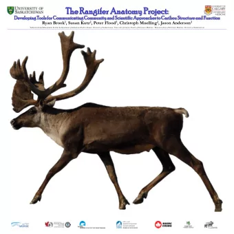 The  he Ran  angifer  fer Anat  atom  omy  y Pro  roje  ject:  ct:  Deve  velopi  loping  ng Tools