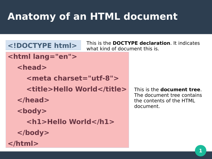 anatomy of an html document