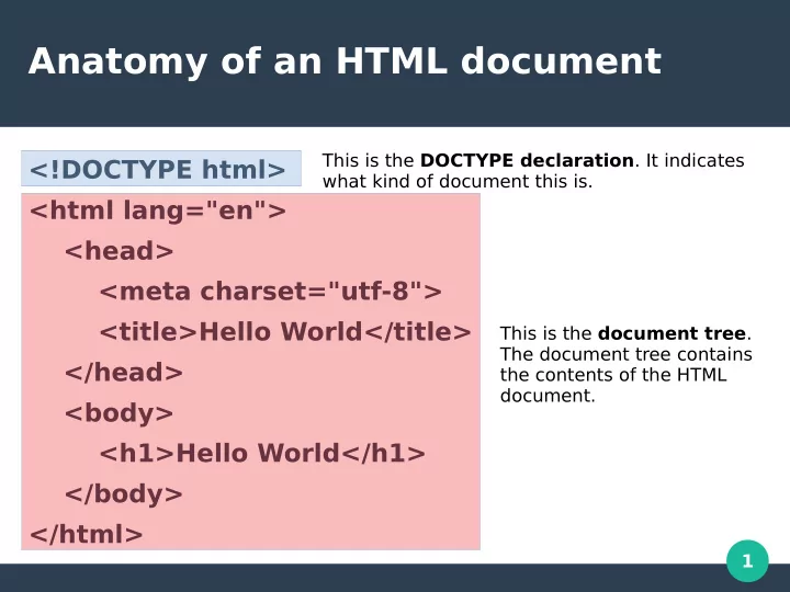 anatomy of an html document