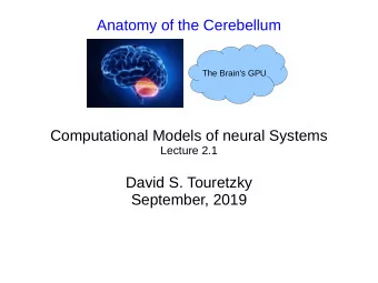 Anatomy of the Cerebellum  The Brain's GPU  Computational Models of neural Systems  Lecture 2.1