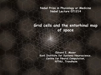 Grid cells and the entorhinal map  of space  Edvard I. Moser  Kavli Institute for Systems