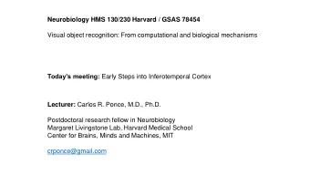 Neurobiology HMS 130/230 Harvard / GSAS 78454  Visual object recognition: From computational and
