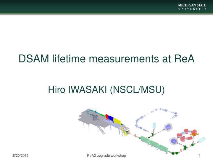 dsam lifetime measurements at rea