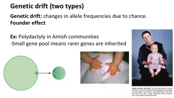 Genetic drift (two types) Genetic drift: changes in allele frequencies due to chance.  Founder