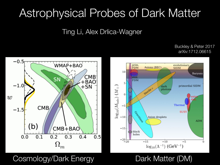 astrophysical probes of dark matter