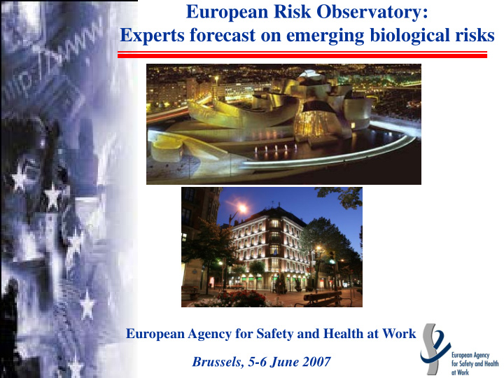 european risk observatory experts forecast on emerging