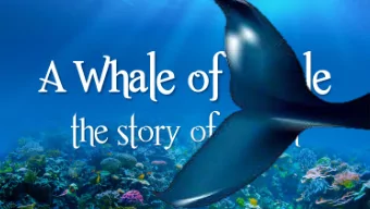 Here are the songs we sang this Sunday.  This shows  the song name, the artist who performed the