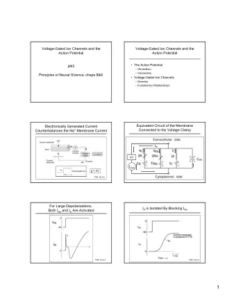 1 V m = the Value of the Na Battery Plus the I Na is Isolated By Blocking I K Voltage Drop Across g