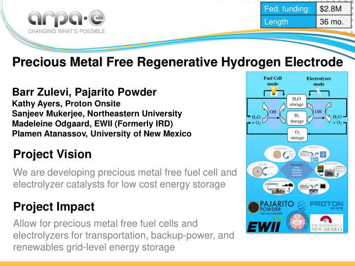 precious metal free regenerative hydrogen electrode