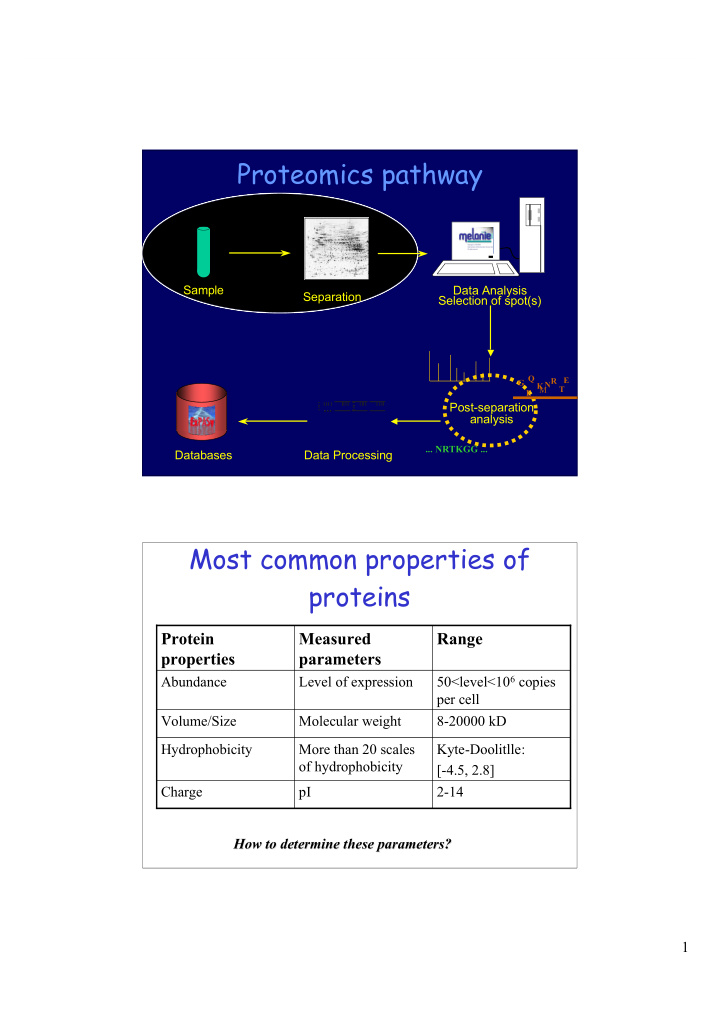 proteomics pathway