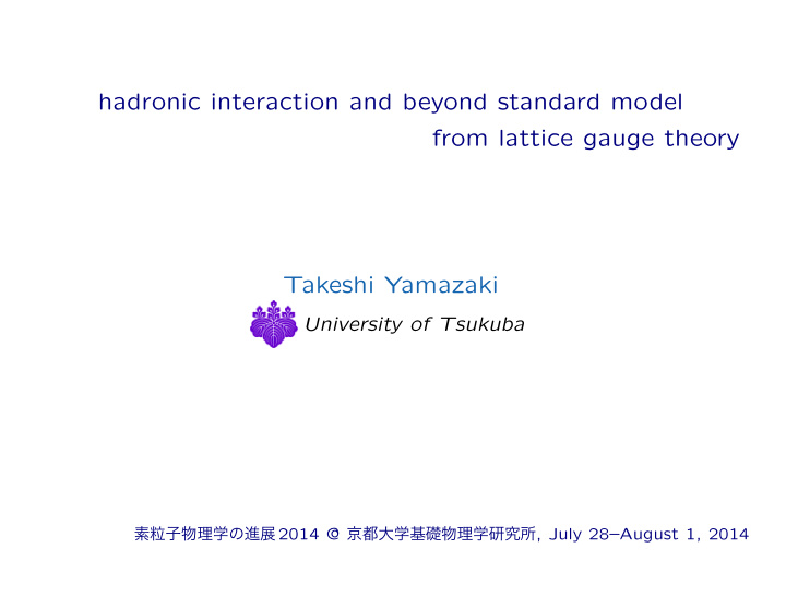 hadronic interaction and beyond standard model from