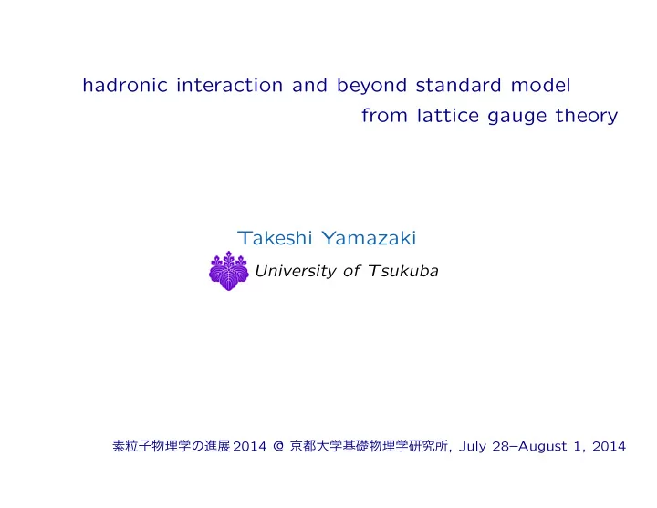 hadronic interaction and beyond standard model from