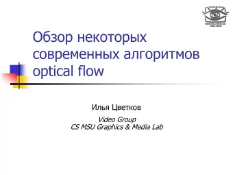 optical flow     Video Group  CS