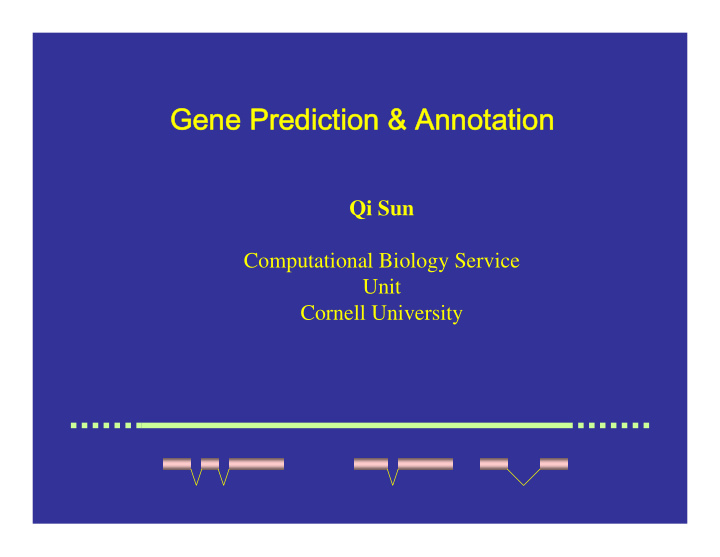 gene prediction annotation