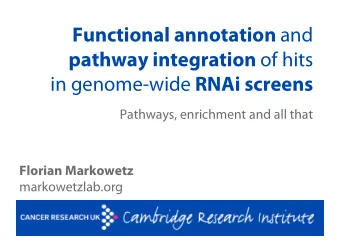 Functional annotation and pathway integration of hits in genome-wide RNAi screens  Pathways,