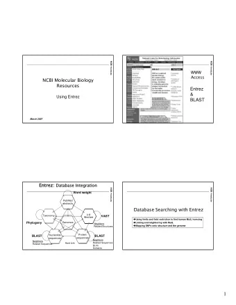 1  Global Entrez Search Results  Global NCBI (Entrez) Search NCBI FieldGuide NCBI FieldGuide  Human