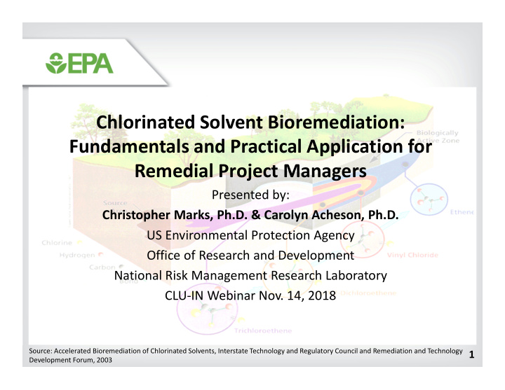 chlorinated solvent bioremediation fundamentals and
