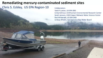 Remediating mercury-contaminated sediment sites  Chris S. Eckley,  US EPA Region-10  Collaborators: