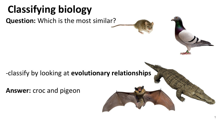 classifying biology
