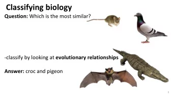 Classifying biology Question: Which is the most similar? -classify by looking at evolutionary