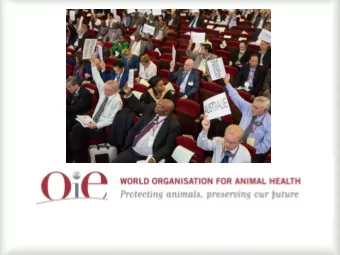 World Organisation for Animal Health  Protecting animals, Preserving our future | 1 World