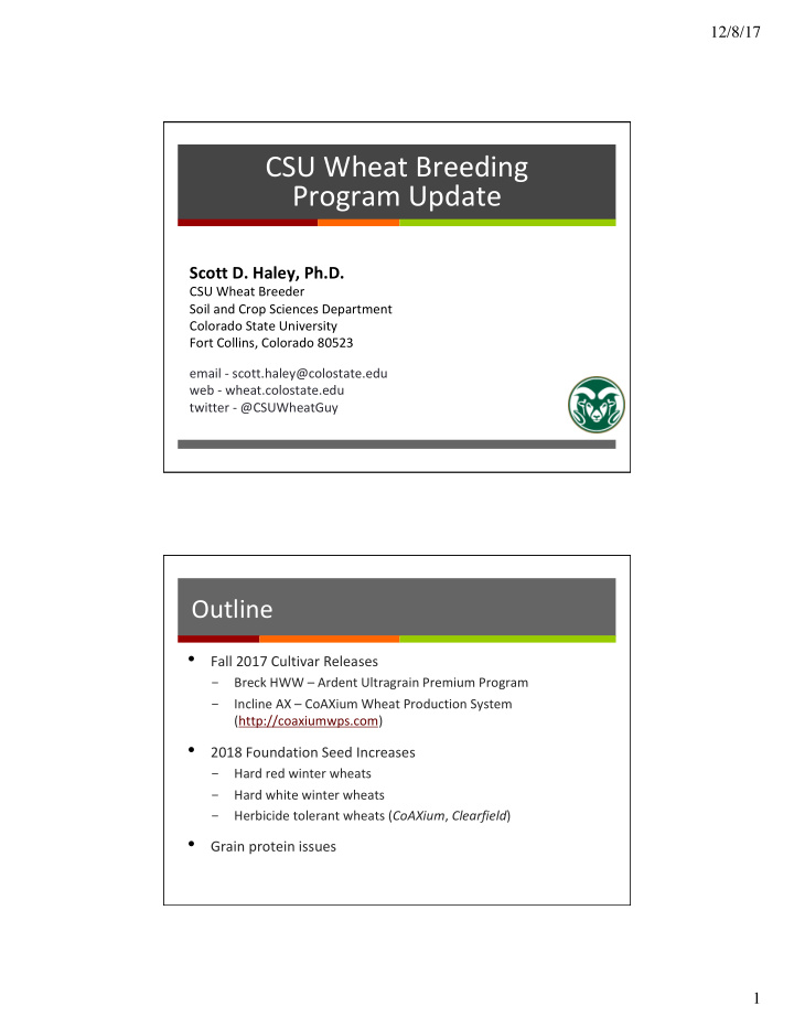 csu wheat breeding program update