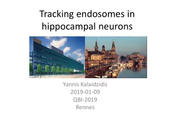 Tracking endosomes in  hippocampal neurons  Yannis Kalaidzidis  2019-01-09  QBI-2019  Rennes  Major