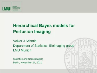 Hierarchical Bayes models for  Perfusion Imaging  Volker J Schmid  Department of Statistics,