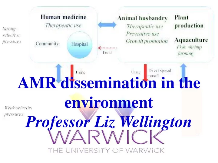amr dissemination in the