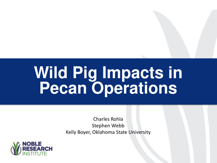 wild pig impacts in