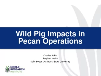 Wild Pig Impacts in  Pecan Operations  Charles Rohla  Stephen Webb  Kelly Boyer, Oklahoma State