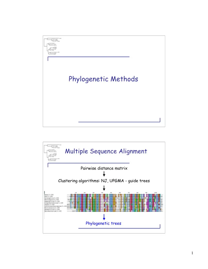 phylogenetic methods
