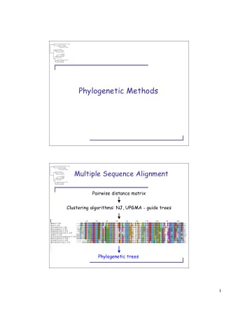 Phylogenetic Methods  Multiple Sequence Alignment  Pairwise distance matrix  Clustering algorithms: