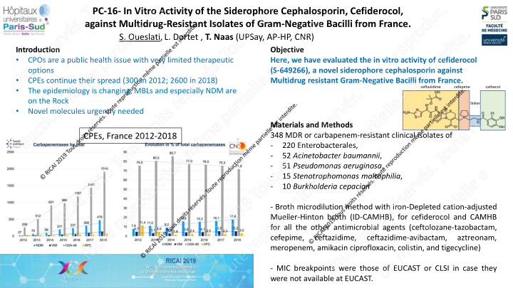 pc 16 in vitro activity of the siderophore cephalosporin