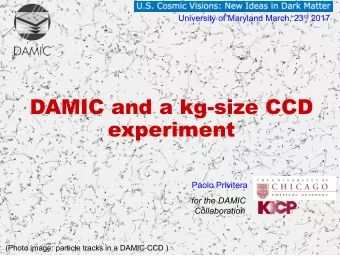 DAMIC and a kg-size CCD  experiment  Paolo Privitera  for the DAMIC  Collaboration  (Photo image: