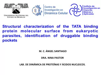 Structural characterization of the TATA binding  protein molecular surface from eukaryotic