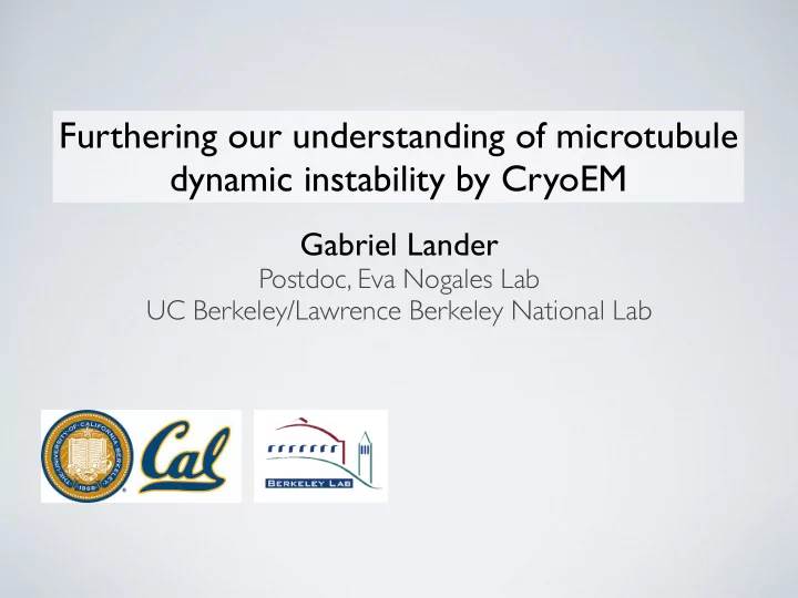 furthering our understanding of microtubule dynamic
