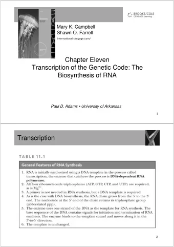 Chapter Eleven  Chapter Eleven  Transcription of the Genetic Code: The  Biosynthesis of RNA  Paul
