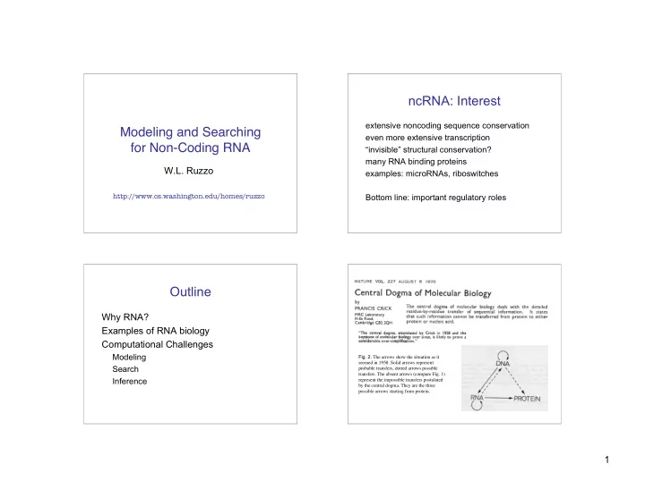 ncrna interest