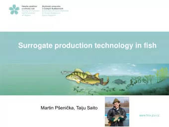 Surrogate production technology in fish  Martin Penika, Taiju Saito  www.frov.jcu.cz  Content