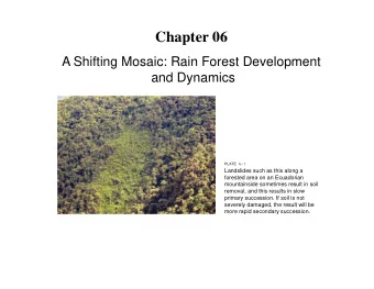 Chapter 06  A Shifting Mosaic: Rain Forest Development  and Dynamics  PLATE 6-1  Landslides such as