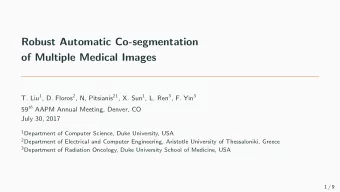 Robust Automatic Co-segmentation  of Multiple Medical Images T. Liu 1 , D. Floros 2 , N, Pitsianis