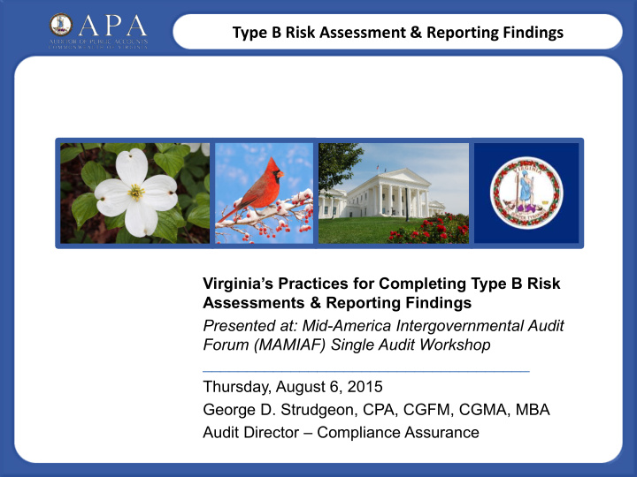 type b risk assessment reporting findings
