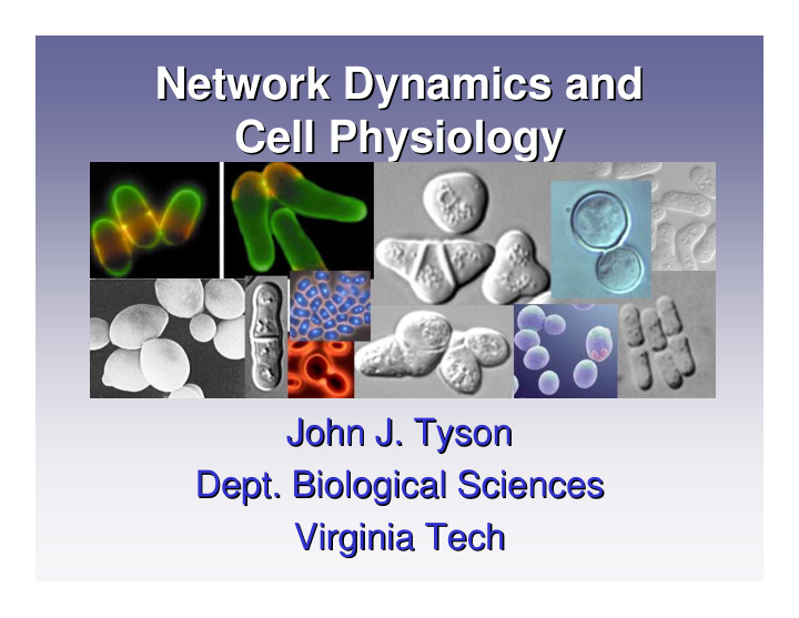 network dynamics and network dynamics and cell physiology