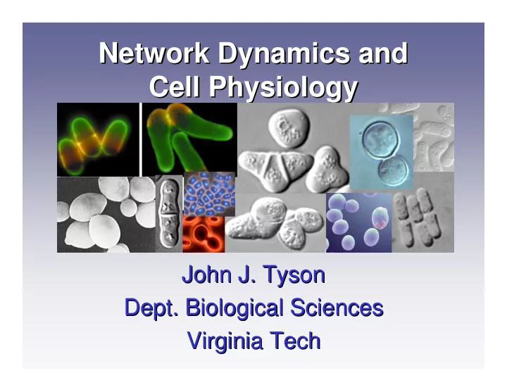 network dynamics and network dynamics and cell physiology