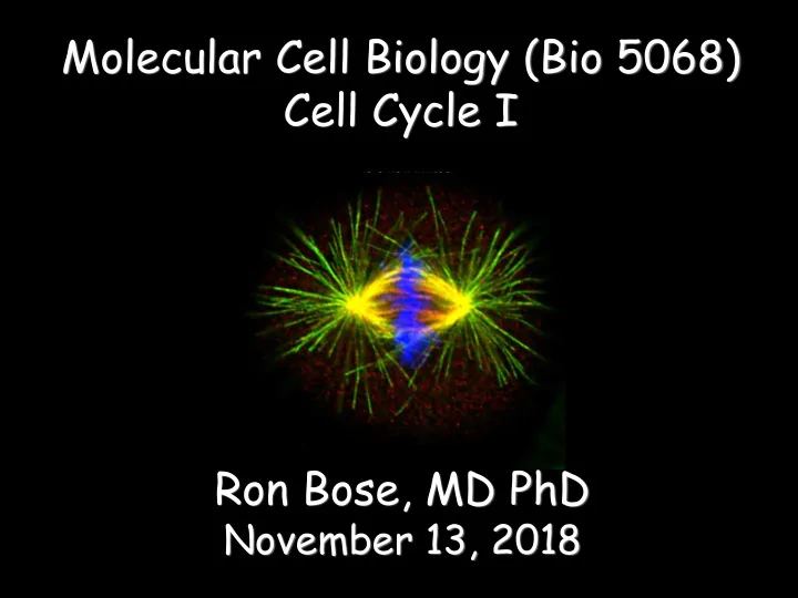 cell cycle i